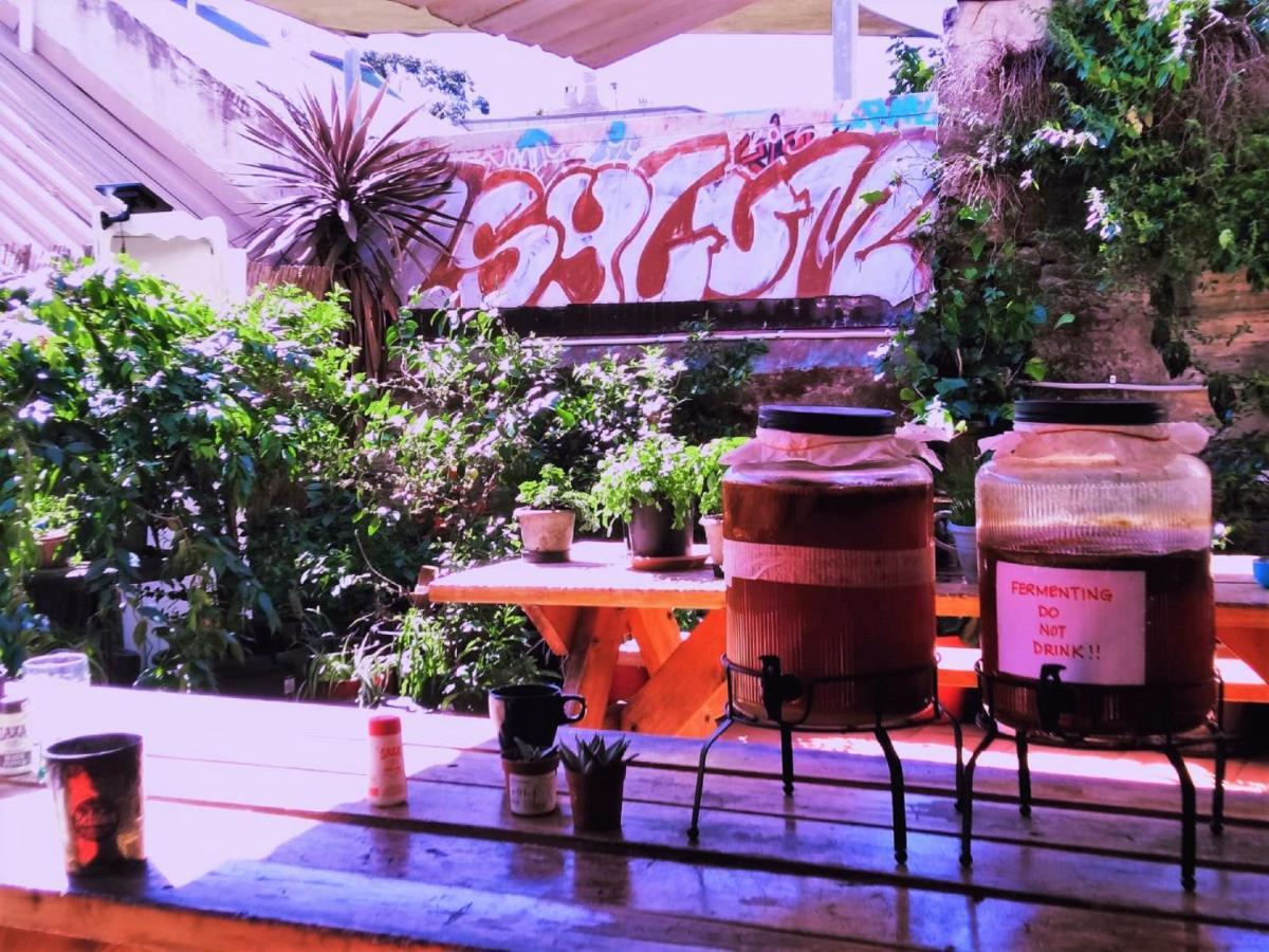 Asylum Sydney Backpackers Hostel Exterior foto